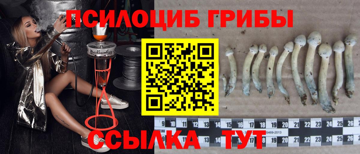 Алушта  Псилоцибиновые грибы Cubensis  Вход с VPN 