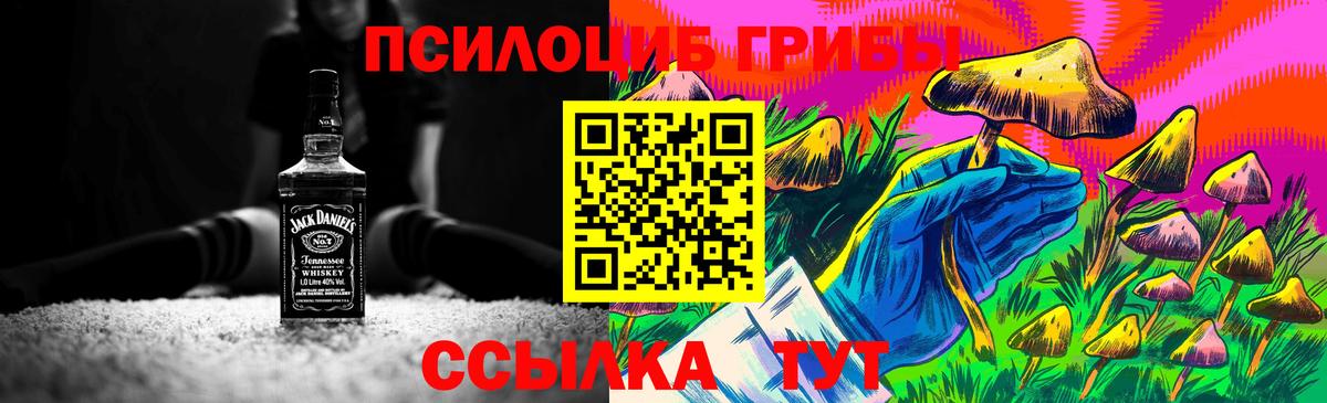 Псилоцибиновые грибы Cubensis Алушта